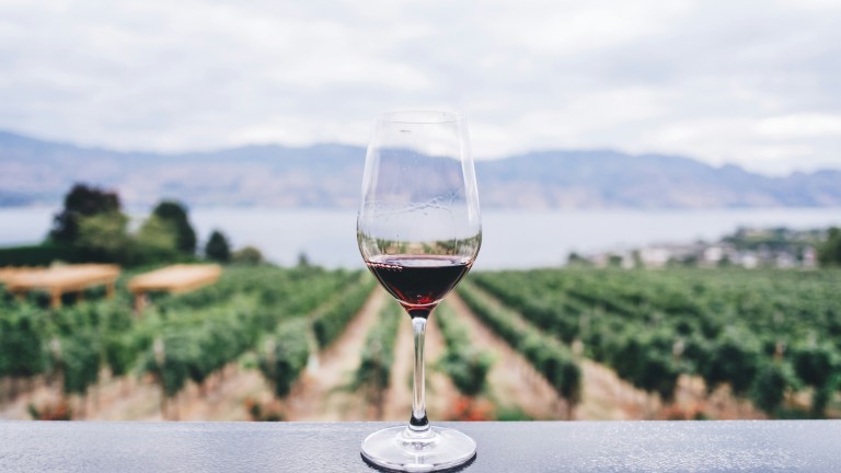 17 de abril: día mundial del malbec, la bebida nacional argentina 